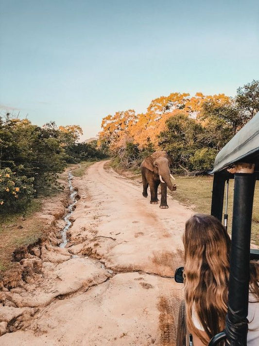 Sri Lanka, 15 jours avec les enfants