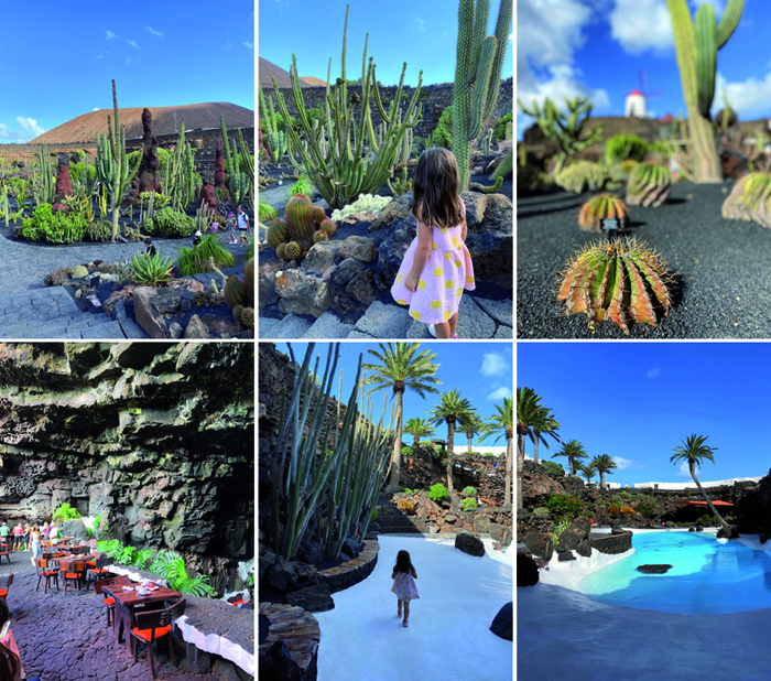 jameros del agua et jardin de cactus à lanzarote