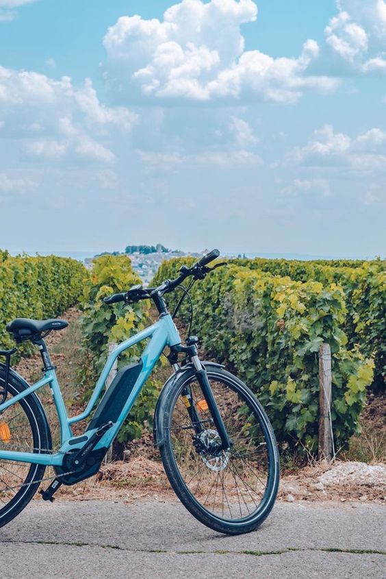 balade en velo vignoble bordeaux